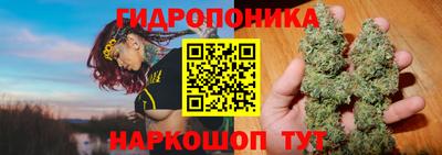 стафф Пыть-Ях