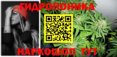 стафф Пыть-Ях